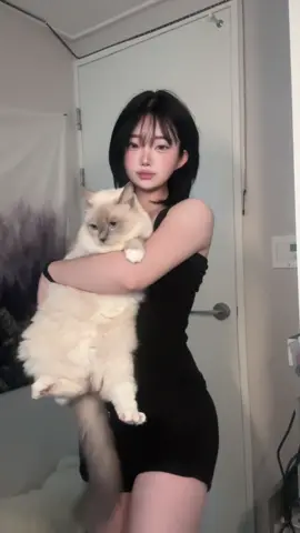 돼냥이