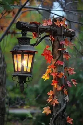 #CapCut #buenasnochesotoño. Un jardín en otoño alumbrado por faroles