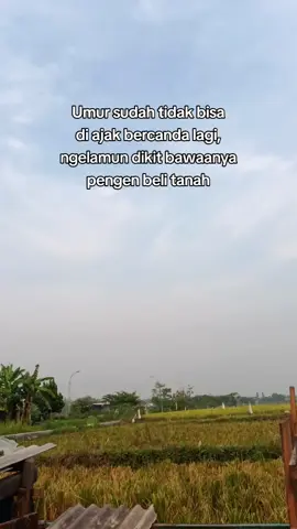 buat mentok 