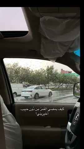 أوَ ترضَين بإن اُمسي غريب أخبِرِيني؟  #شيعة #علي_بوحمد #fyp 