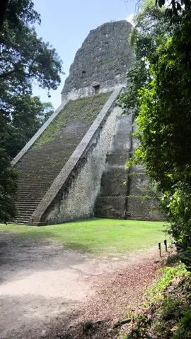Majestuoso templo V Tikal, Petén 🍃🇬🇹
