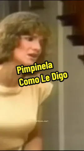 Pimpinela / Como Le Digo #parati #viral #video #tiktok #musica #clasicosporsiempre #viraltiktok #viralvideo #fypp #foryou #pimpinela #comoledigo 