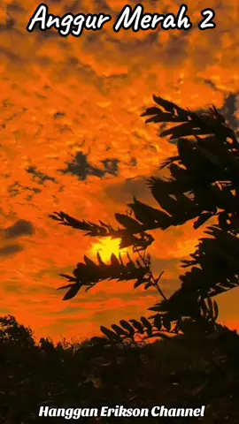 Anggur Merah 2#nostalgiahits #nostalgiamusic #popnostalgia #nostalgia #tembangkenangan #anggurmerah2 