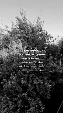 ٨:٤٠#خواطر #خذلان #اقتباسات #هواجيس #شعروقصايد #عباراتكم #عبارات_حزينه💔 #فضفضة #اكسبلورexplore #jungkook 