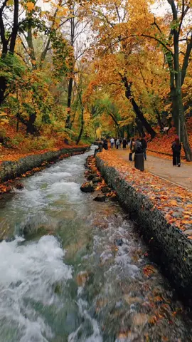 Autumn vibes 🍂 #autumnvibes #autumn #almaty 