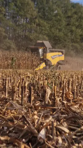 😵🤯 #kukurydza2024 #kukurydzanaziarno #cx #newholland #fyp #dc #vir 