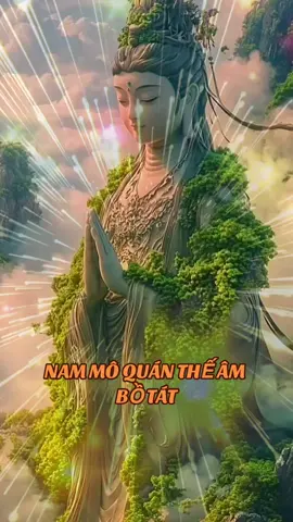 NAM MÔ QUÁN THẾ ÂM BỒ TÁT  #nammoquantheambotat  #adidaphat  #nammoadidaphat  #phatphapnhiemmau 