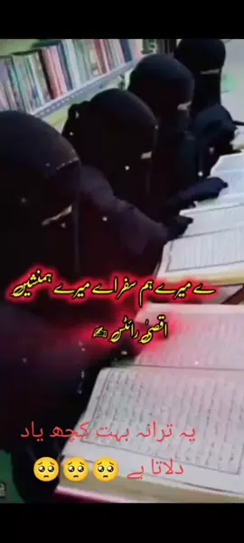 #الودع #😔🥀🖤 #❤️❤️ #الودع جامعہ😭#🥀🖤🔥 