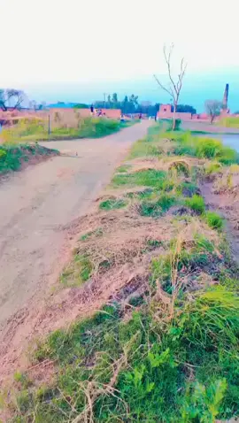 raja Amir shazad 202 #parince 