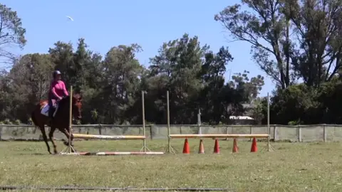 Amazing lesson today!! This is just the jumping full round lesson will be out after this one! #myhearthorse❤️ #chetsnutgelding #fypシ゚ #geldingsoftiktok #whenagirllovesahorse #thoroughbredsoftiktok #jumpinghorse #foryou 