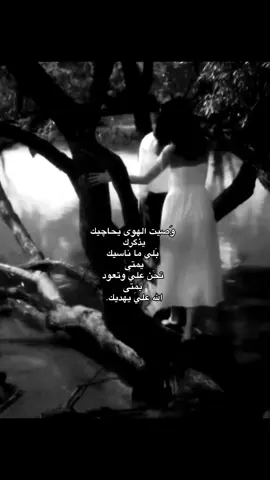 وَصيت الهوى يحاچيك ♥♥♥.                                   #اغاني #fyp #موسيقى #اكسبلورexplore #وصيت_الهوى_يحاجيك 