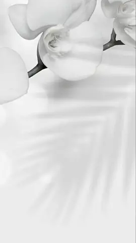 #قطر🇶🇦_سعودية🇸🇦_الأمارات_دبي_الدوحه😔😭 #قطر_الدوحة🇶🇦 #مصمم_فيديوهات🎬🎵تصميمي👌 #قطر🇶🇦_سعودية🇸🇦_الأمارات_دبي_الدوحه #دامعزك_ياوطن🇸🇦💚🇸🇦 #دعوات_الكترونيه_زواج_مواليد_ثيمات_تصميمي #قطر🇶🇦_سعودية🇸🇦_الأمارات_دبي_الدوحه💸💰 #مصمم_فيديوهات🎬🎵❤ #مصمم_فيديوهات🎬🎵🎼❤️😗 #اكسلبورر_explore #اكسبلورexplore 