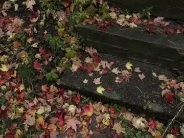 Jack Stauber - fighter | #рекомендации #песня #fyp #fypage #song #larrysong #relatable 