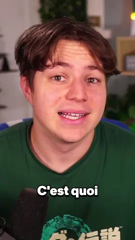 Le Meilleur Easter Egg du Jeu Vidéo #OuterWilds #Zelda #zeldabotw