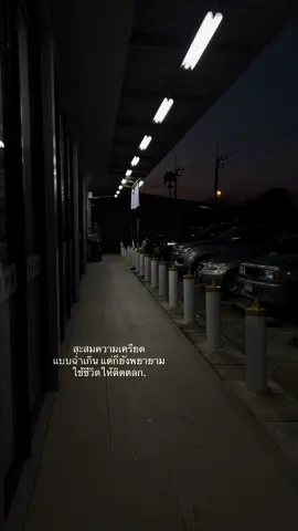 #สตอรี่ความรู้สึก #เธรด #fyp 