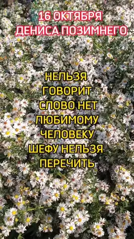 #16 октября 💞🌹прикметы 