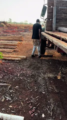 Redução  - - - #caminhaoqualificado #humor #viral_video #fyp #ferrovelho #gbn #gdh #gfm #diferencial #cardan 