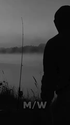 I Still Love You..❤️ #TrueLove #Love #lovequotes #quotes #lovemessage #istillloveyou #loveyou #Relationship #couple #Relationship #usa🇺🇸 #motivation #motivational #fypシ #foryou #fypシviral @Daily Quotes @Daily Motivation @Life Lessons 