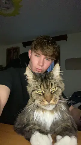 i’m best cat mogger 