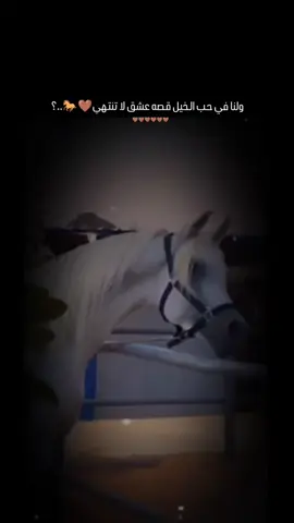 وفي حب لخيل اغرمت 🐎🥀..؟