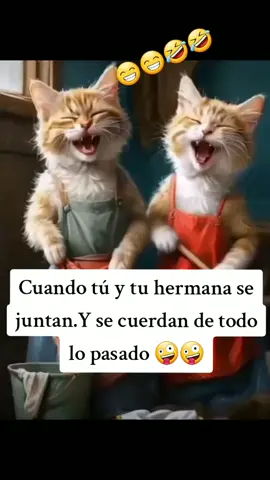 Nosotras contandonos lo que soñamos 😅😅🤭 #🤣🤣🤣 #recuerdosdesbloqueados #hermana  @Yasmin_Yt'r💗 