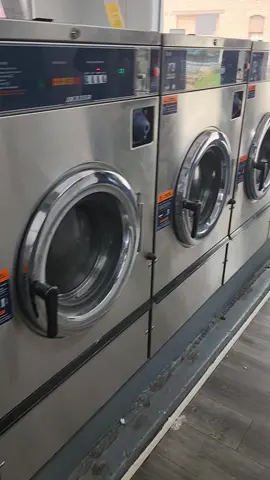 How many rare coins can I find? 