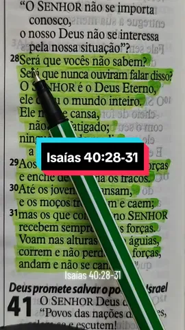 Isaías 40:28-31 #biblia #Deus #versiculosblibicos #versiculododia #fycristao #palavradeDeus #lendoabiblia #cristão #cristoviveemmim #Isaias 