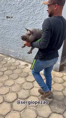 Dia de banho de bicó 