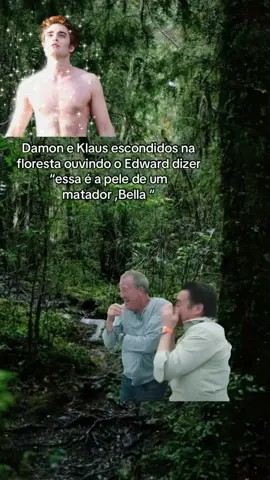 é meme kkkkkk #thevampirediaries #crepusculo #memestiktok #damonsalvetore #klausmikaelson 