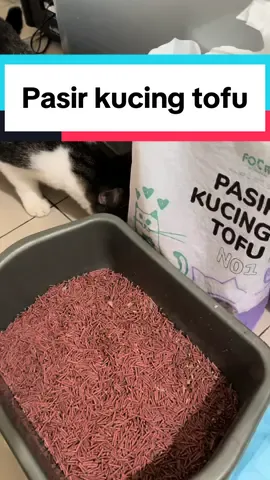 Nyesel gak dari dulu pake ini. Mumpung lagi promo nih pasir kucing tofu nya.  #pasirtofu #pasirtofuwangi #catlitter #kucingtiktok #kucinglucu 