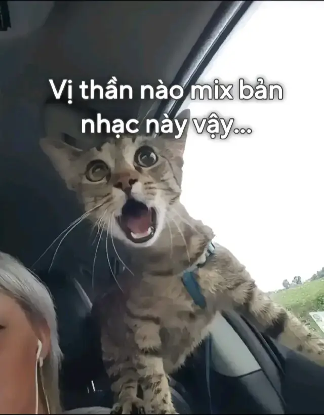 #2phuthon #2phuthonfunk #anime #fypシ゚ #animeedit #toiiyeuelaina #elaina #xuhuong #2phuthonphonk