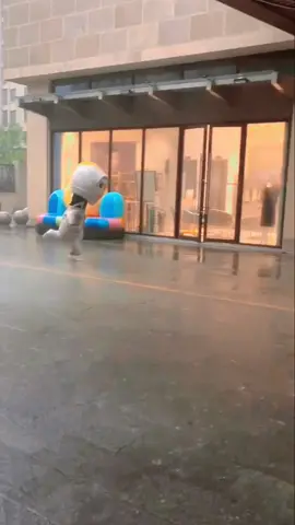 #funnyvideos #funny #funnyanimals #comedyvideo #comdy #lucu #fy #fypシ #foryou #xuhuong 