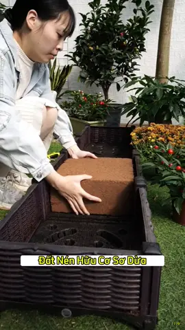 Thích trồng cây thì nên biết loại đất nén này #giadungtienich #giadungthongminh #giadungtienich779  #giadung #trongcay 