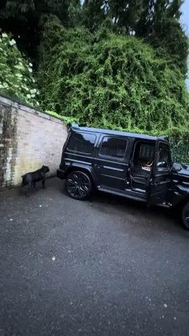 #gclass #london #albania🇦🇱 🇬🇧