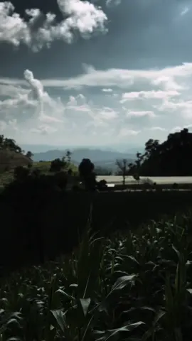 သဘဝရဲ့ အငွေ့သက် #မဲဆောက်တစ်နေရာ #maesot #tiktok #fyp #pcx #ရောက်ချင်တဲ့နေရာရောက်👌 