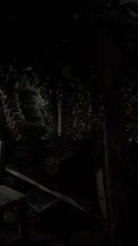 #يابن _ادم_عيش#اكسبلورexplore 