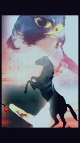 يامنال . كلمات سعود الحبابي   أداء . فلاح المسردي 🦅❤️‍🔥