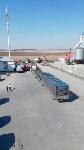 pha lùi xe đầu kéo siêu đỉnh #xuhuong #xuhuongtiktok #xedaukeo #ecukimbecbom #lùixeđầukéo 