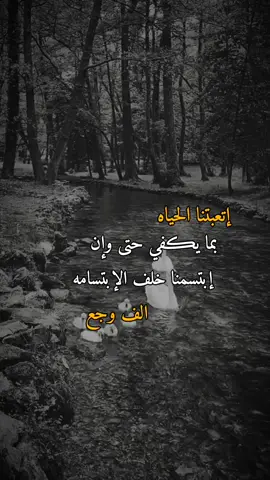 #إقتباسات_عن_الحياة #إتعبتنا الحياه بمايكفي حتى وإن ابتسمنا خلف الإبتسامه الف وجع#عبارات_هرماس #تحفيزات_هرماس #اكسبلورexplore #fypシ゚ #virall #fyp 
