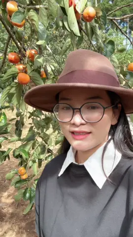 Vườn hồng nhà tôi 🫶🏼 ##Mocnhien  #thiennhien #garden  #nauan #countryside #countrylife #lovekitchen #kitchen #house #dreamhome hi #nangthuytinh #coffee#vuonhong #hongtreogio #dalat  #nangthuytinh #xuhuong #glamping #tiemcaphe 