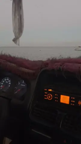 #نويبع_جنوب_سيناء 