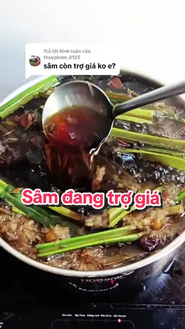 Trả lời @thuypham_0125 Dạ nước sâm bên nhà em còn đang trợ giá đó chị #sam #samlucvi #giainhietmuahe #giainhiet #cotrangreview #xuhuong #xuhuongtiktok @Cô Trang Review @Cô Trang Review @Cô Trang Review 