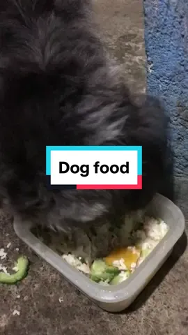 Buti nalang may real wildeners blend dog food ✨ #dogsoftiktok #doglover #dog #coucou #dogfood #healthy #titokph #fyp #viral #wetfood #tiktokfindsph 