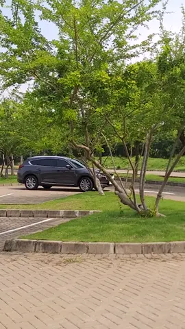 Gini loh Mazda CX-8.  SUV Premium Mazda dengan design yang elegan. #MazdaCx8 #Mazda #Mazdaindonesia 