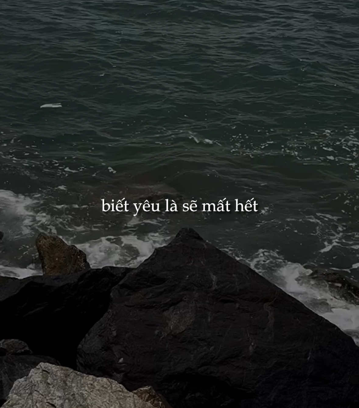 biết yêu là sẽ mất hết..