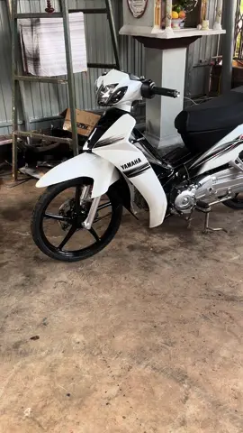 Nát 😣#upxuhuongtiktok 