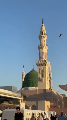 🍃 #السعودية #المدينه_المنورة #الحرم #اكسبلور #اليوم #madinah #explore #الحرم_المدني #الحرم_النبوي #نبينا_محمد_صلى_الله_عليه_وسلم #الروضة_الشريفة #تصوير #النبوي #الشريف #اكسبلورexplore #ترند 