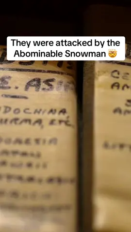 Ivan Sanderson founded #cryptozoology and has detailed records of his investigation of the #AbominableSnowman 😳🥶 #cryptid #mystery 