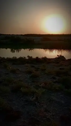 ابوه يكول عد ولاد موجودين💔🥺#كاطع_المياحي#تصميم_فيديوهات🎶🎤🎬#تفاعلكم💔#لايك 