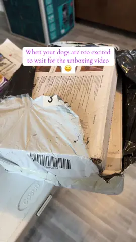 Thanks Rozco & Taz 😑 #furbabies #dogs #pitbull #bulldog #sahm #unboxing #tiktokmademebuyit #tiktokfinds #falldealsforyou
